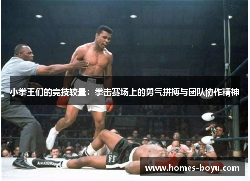小拳王们的竞技较量：拳击赛场上的勇气拼搏与团队协作精神