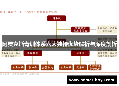 阿贾克斯青训体系六大独特优势解析与深度剖析