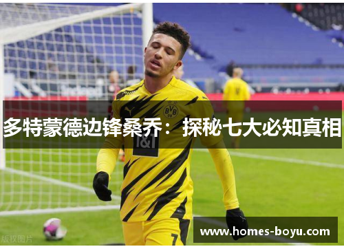 多特蒙德边锋桑乔:探秘七大必知真相