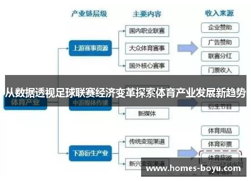 从数据透视足球联赛经济变革探索体育产业发展新趋势