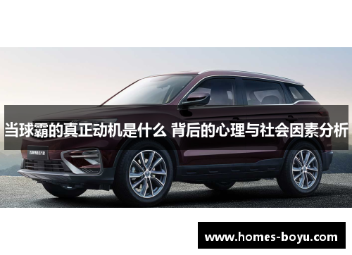 当球霸的真正动机是什么 背后的心理与社会因素分析