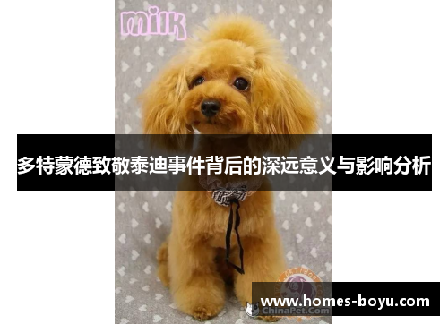 多特蒙德致敬泰迪事件背后的深远意义与影响分析