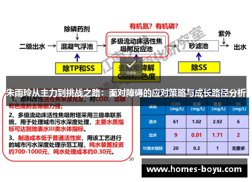 朱雨玲从主力到挑战之路:面对障碍的应对策略与成长路径分析