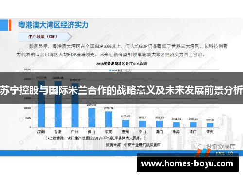 苏宁控股与国际米兰合作的战略意义及未来发展前景分析